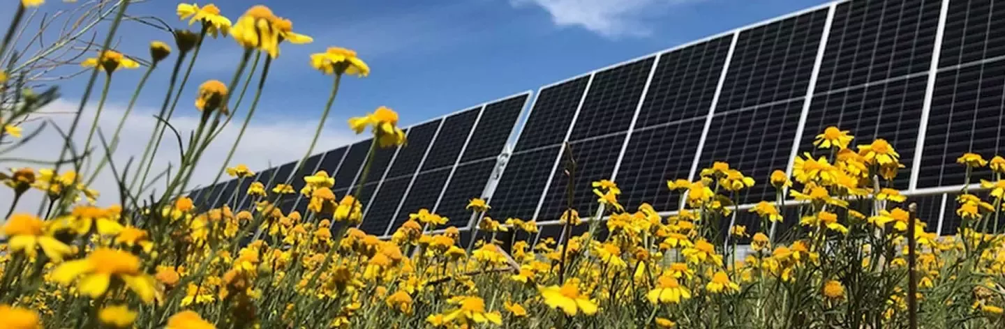 应对气候变化不是做慈善