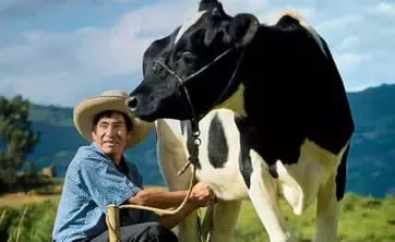 我们的目标和价值观