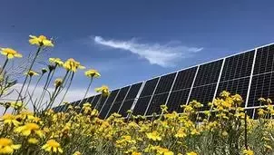 全面提升食品生产效率