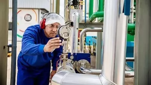 全面提升食品生产效率