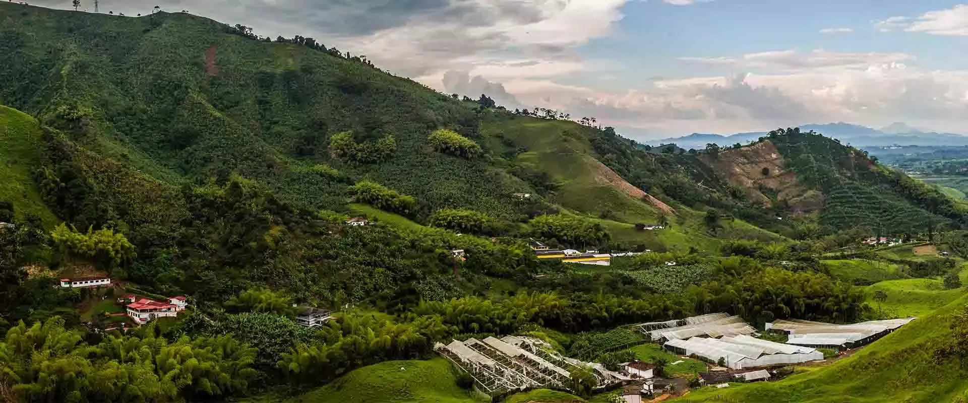 工作成果和报告