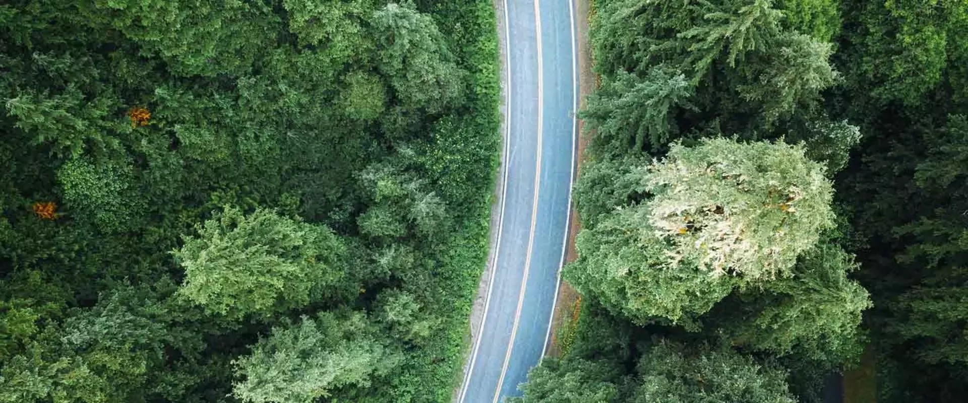 合乎伦理道德且负责任的商业实践