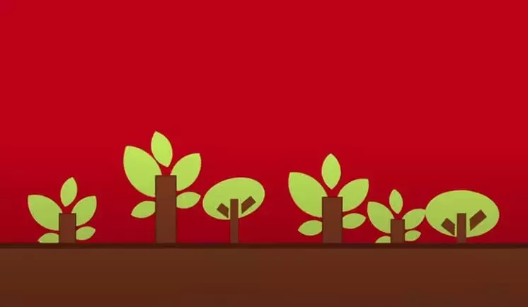 奇巧的碳中和承诺