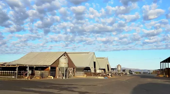 我们的愿景：构建奶牛养殖业净零碳未来