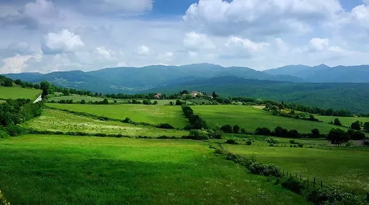 推进当地解决方案