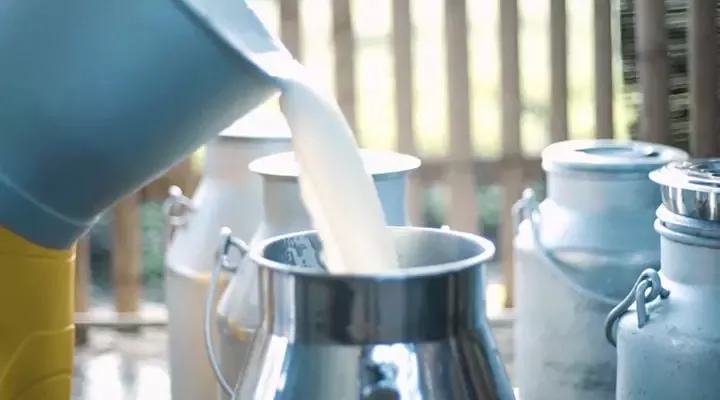 支持奶户自行生产沼气