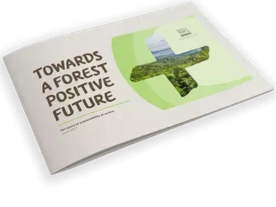 构建“森林正效”未来