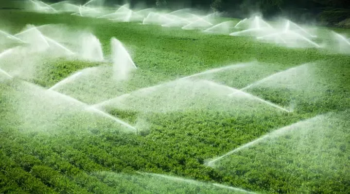 yespincycle农业活动中的可持续水资源管理