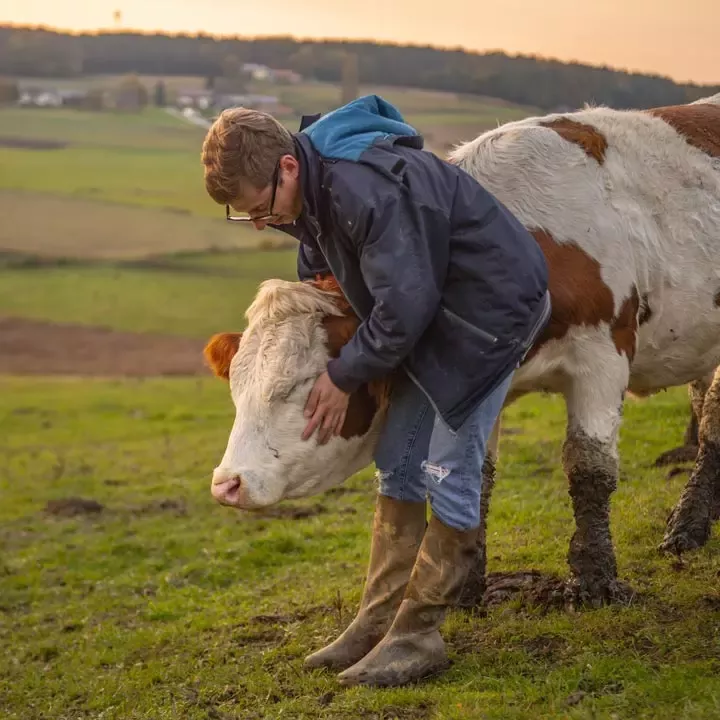 农业创业：激励未来的农户