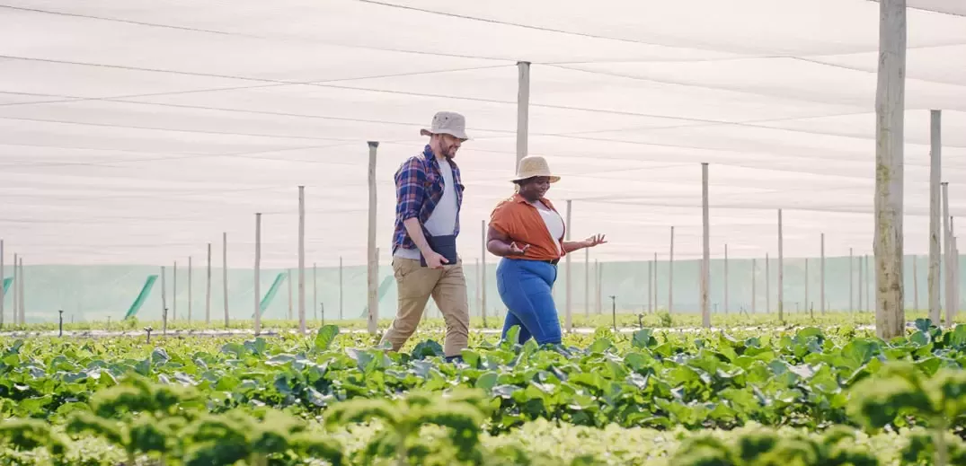 培养企业家精神：我们的研发加速器中心可助一臂之力