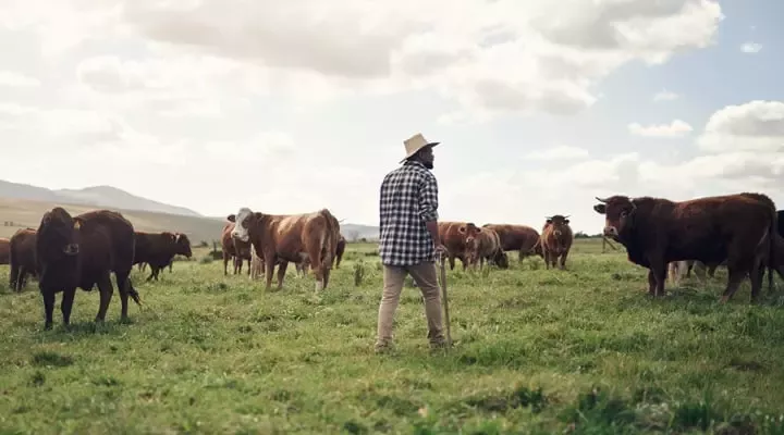为全球目标做出贡献