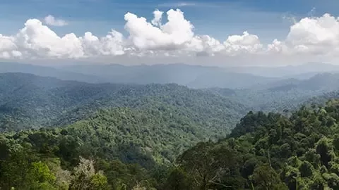 齐心协力，共同倡导气候行动