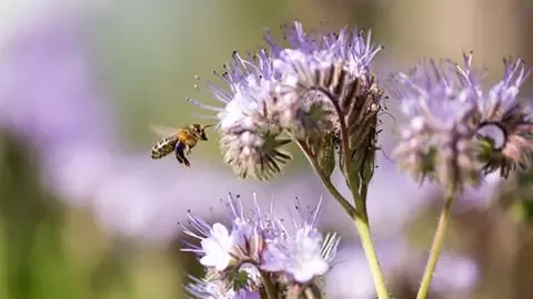 我们在自然、生物多样性和环境领域的管理方法