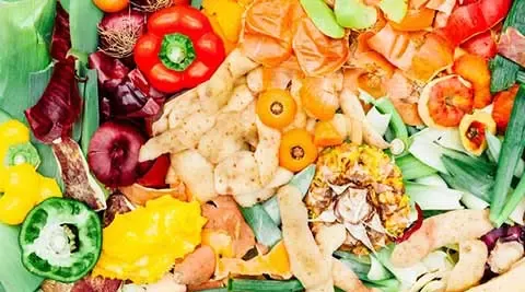 减少食物损失和浪费