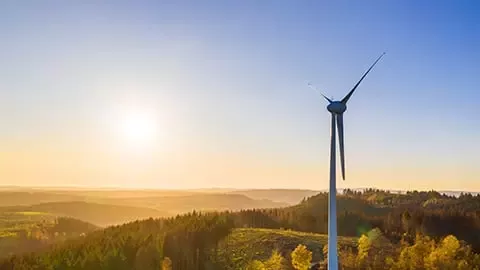 可持续发展治理