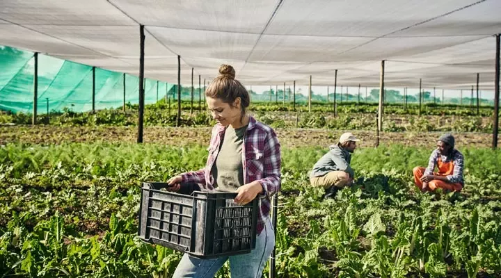 伙伴关系和联合行动