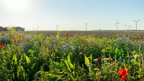 税务管理和战略的最佳实践