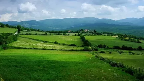 我们的负责任采购方法