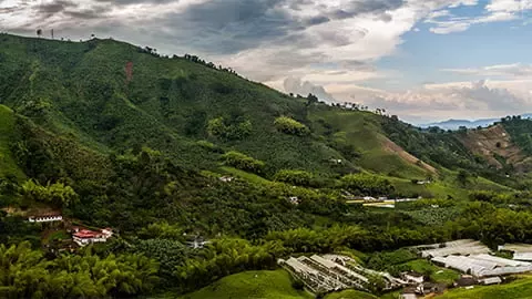 工作成果和报告