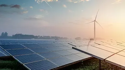 我们的净零碳排放之路